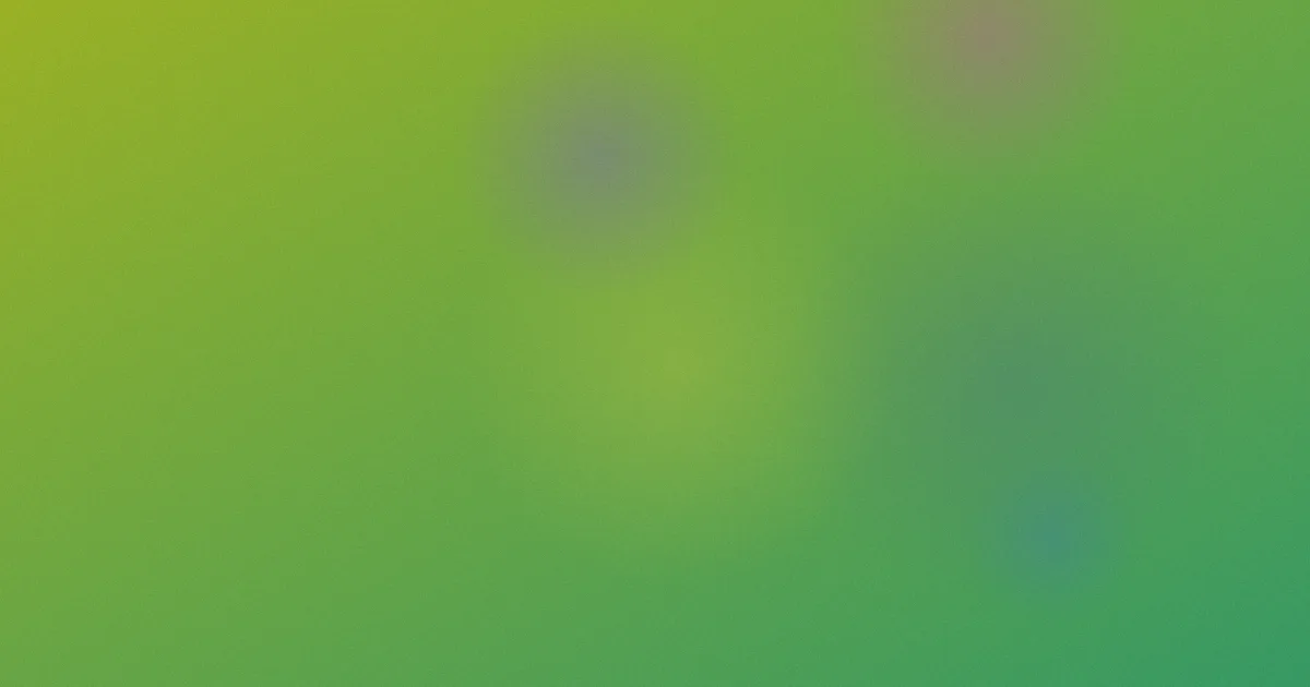 网王对比：老粉带新粉复盘